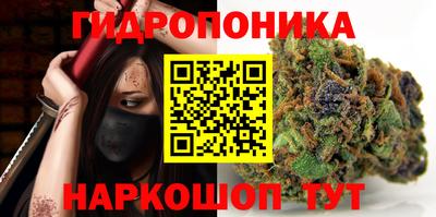 трава Камышлов