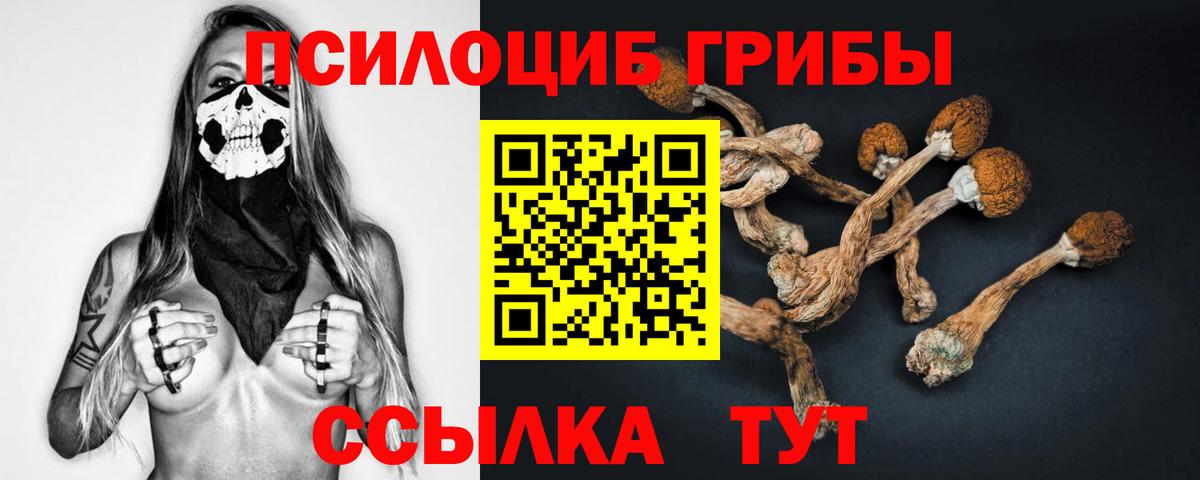Псилоцибиновые грибы Psilocybe  Галлюциногенные грибы GOLDEN TEACHER  Шадринск  Вход с VPN 
