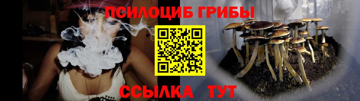 Галлюциногенные грибы Magic Shrooms  Псилоцибиновые грибы прущие грибы  Шадринск 