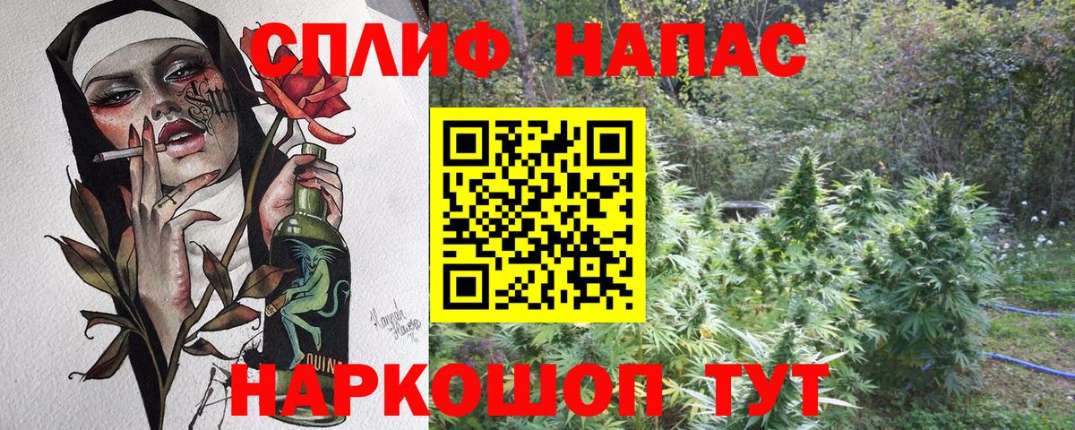 Бошки Шишки тримм  Вход с VPN  Шишки марихуана ГИДРОПОН  Шадринск  Бошки Шишки семена 